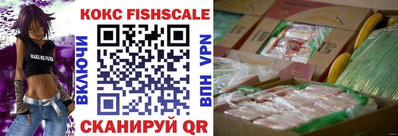 Cocaine FishScale  Новомичуринск 