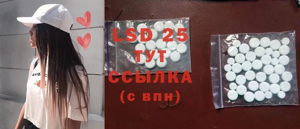 гашик Новодвинск