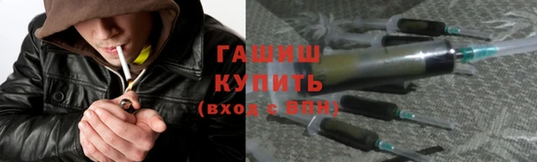 гашик Новодвинск
