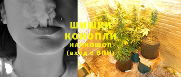 винт Верея