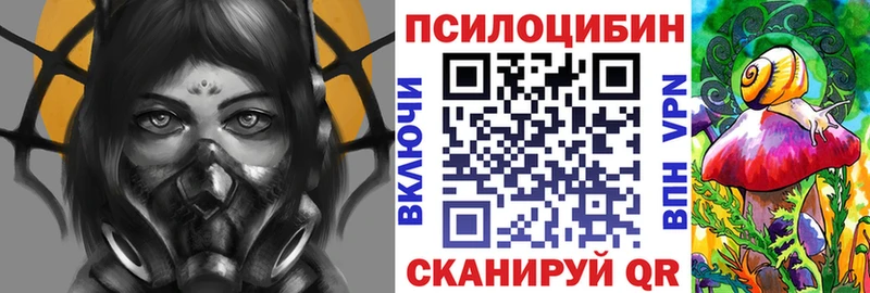 Псилоцибиновые грибы Psilocybine cubensis  Новомичуринск 